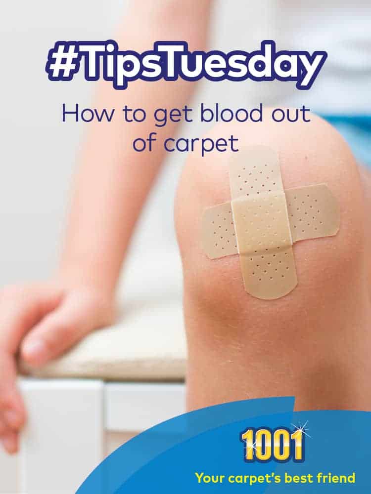 How to get blood out of carpet