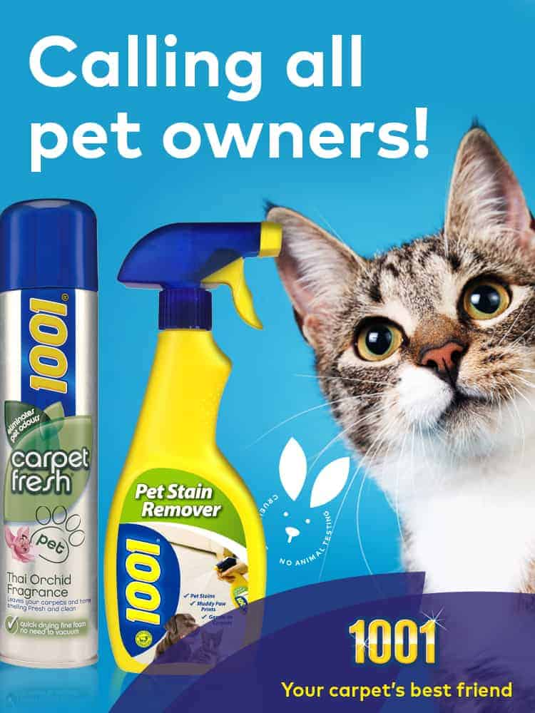 How to use 1001 products to get rid of cat smell and dog smell in the house How to use 1001 products to get rid of cat smell and dog smell in the house