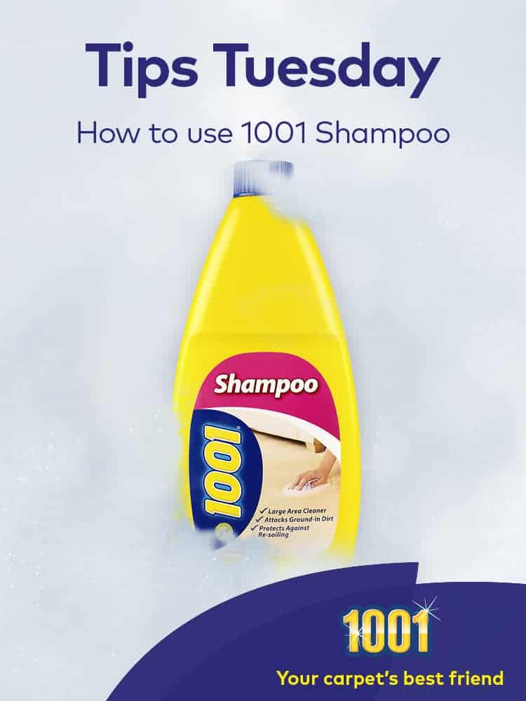 Home carpet cleaning with 1001 Shampoo