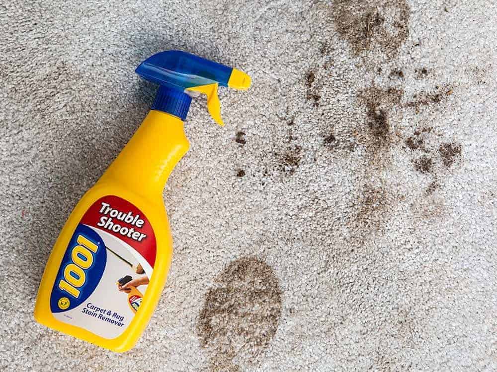 Carpet stain remover