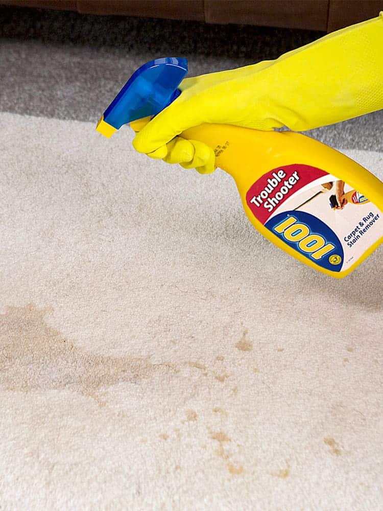 Carpet cleaning products Carpet cleaning products