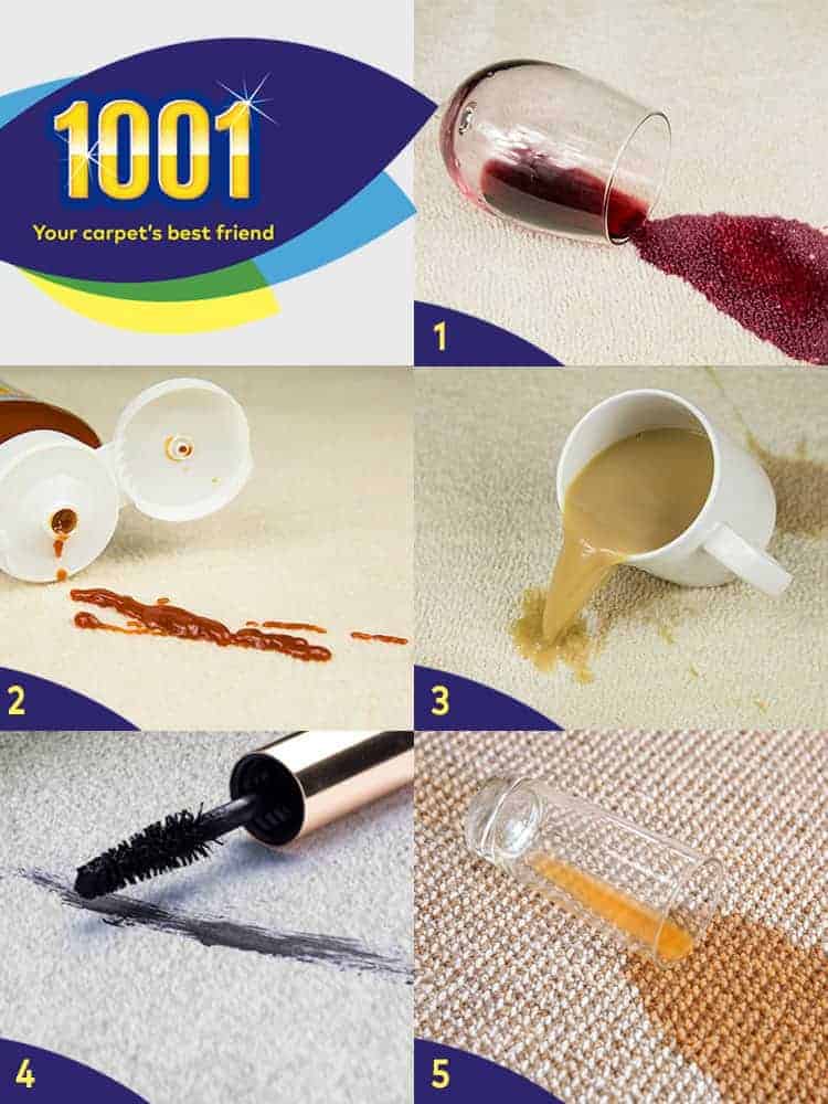 1001 carpet cleaner