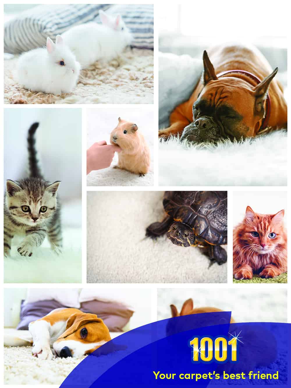 best pet safe carpet cleaner best pet safe carpet cleaner