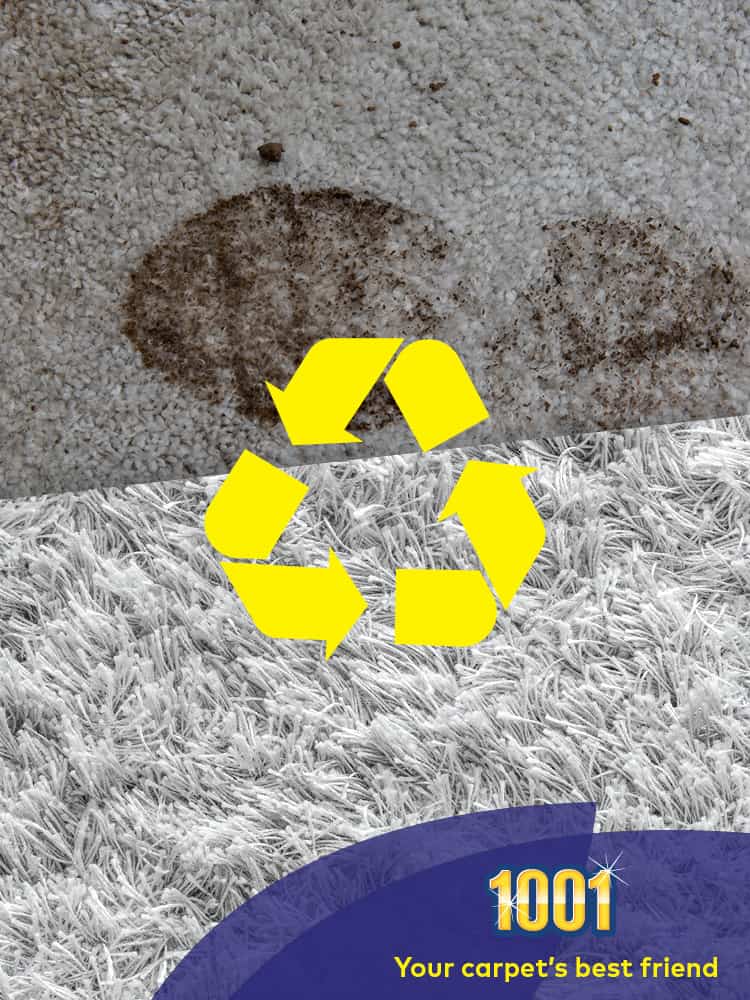 carpet cleaning tips carpet cleaning tips