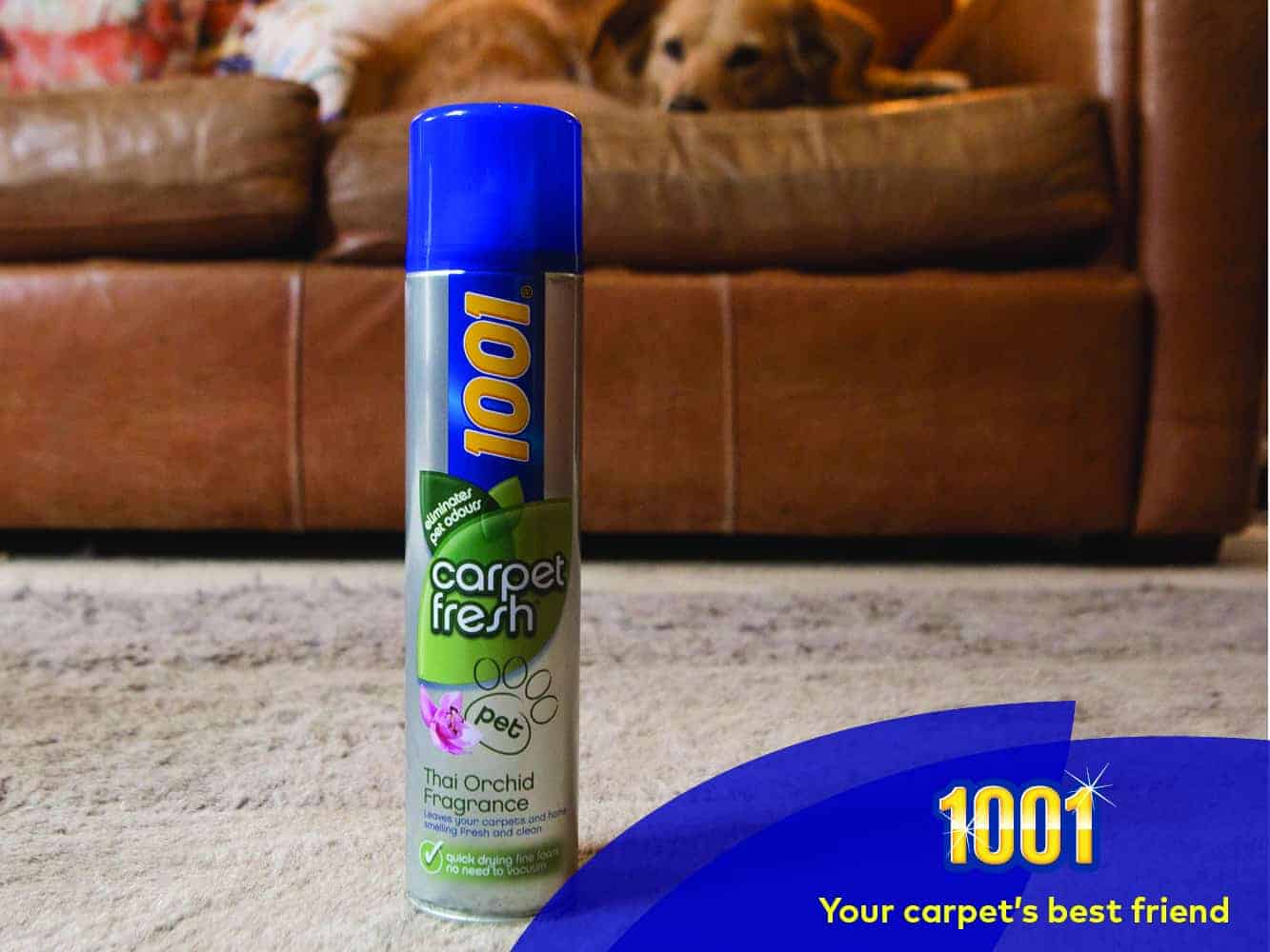 best pet safe carpet cleaner