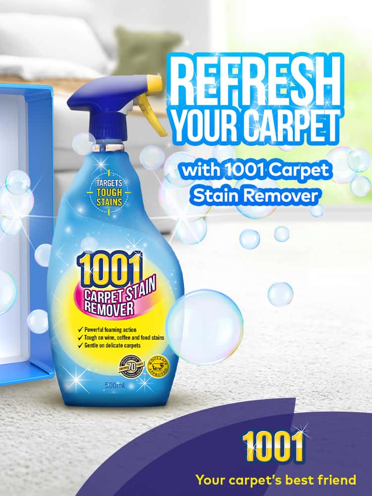 best carpet stain remover best carpet stain remover