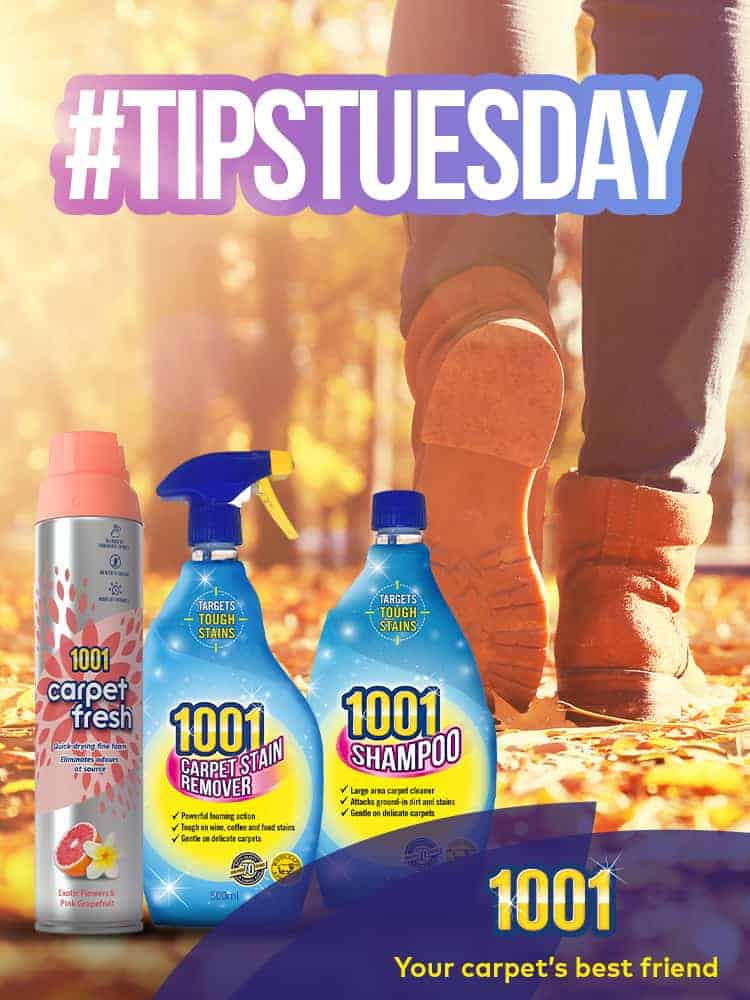 Best way to clean carpet: How to remove mud stains out of carpet Best way to clean carpet: How to remove mud stains out of carpet