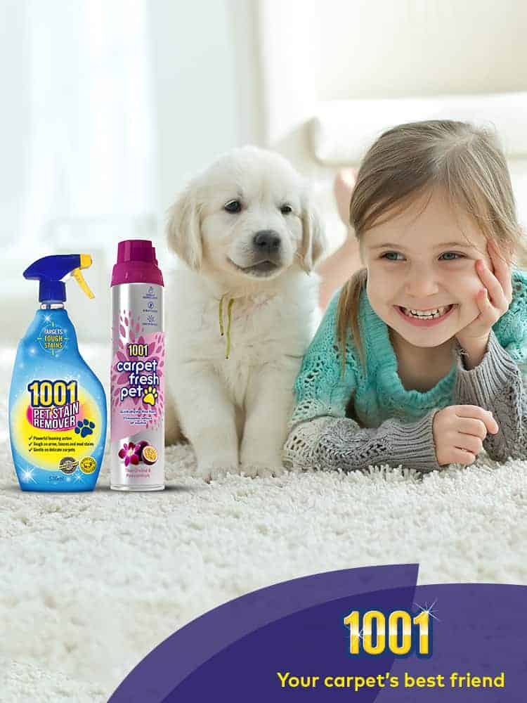 Have a new addition this year? Here’s the Best Carpet Cleaner for Pets