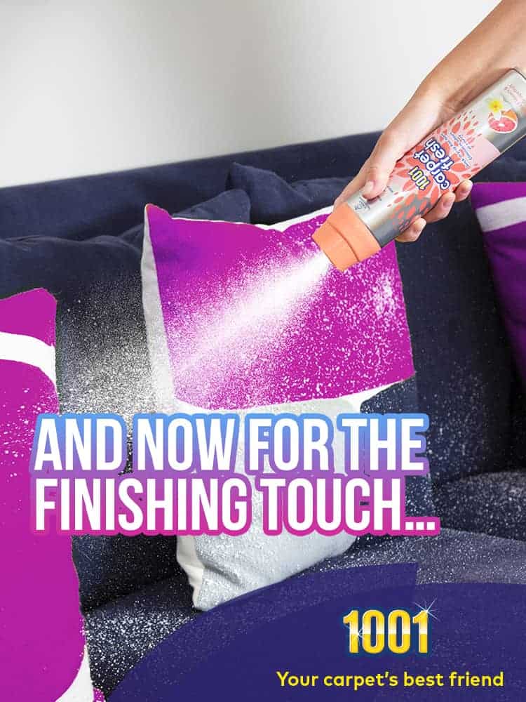 How to Freshen Carpet with 1001 How to Freshen Carpet with 1001