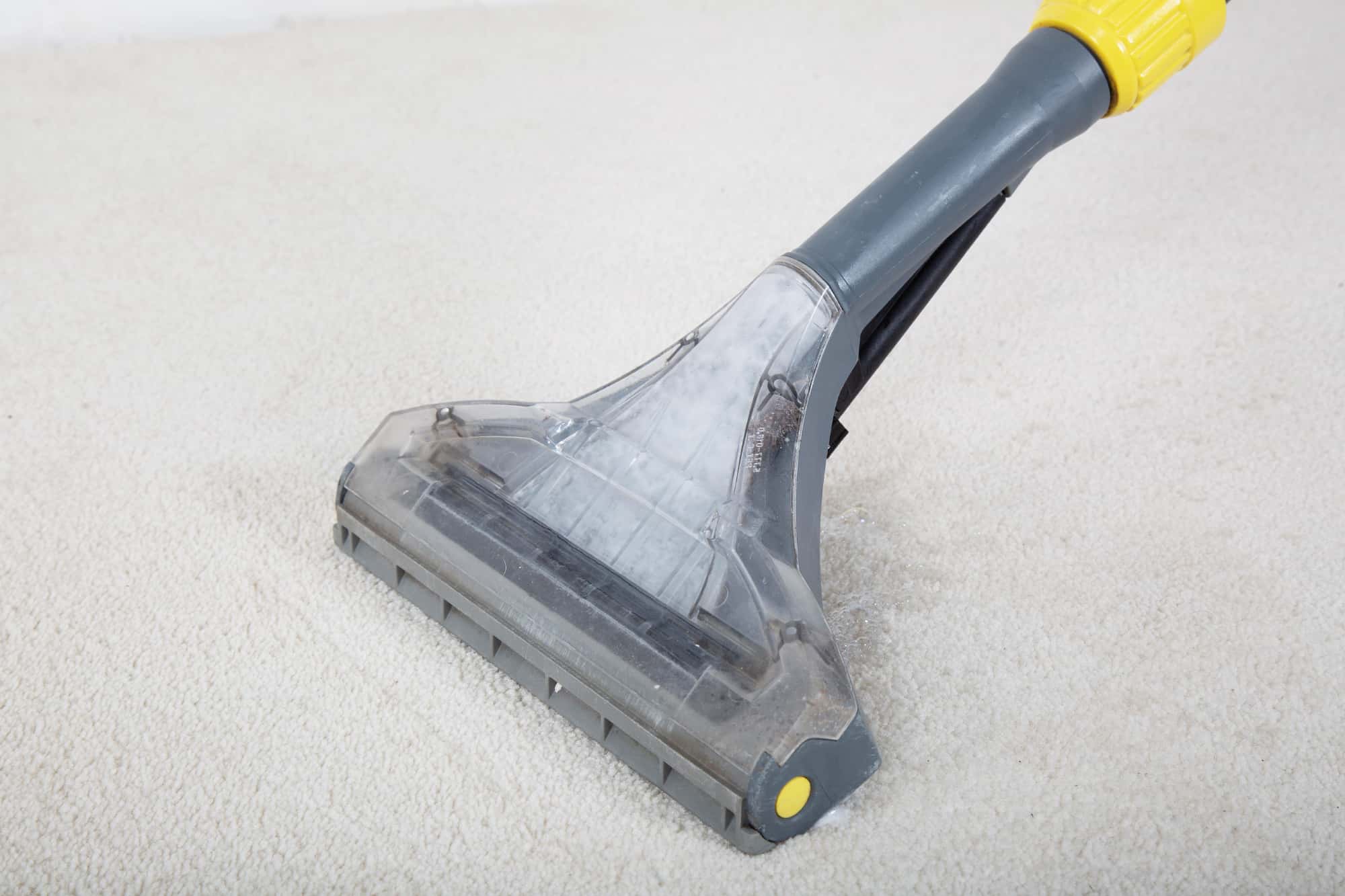 vacuum carpet