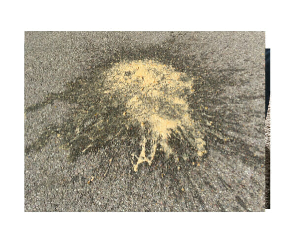 how to remove vomit from carpets and rugs