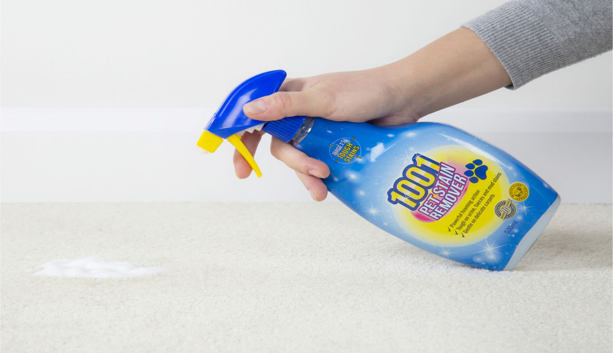 pet stain remover updated