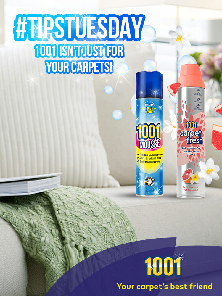 Keep your house spotless with 1001 Carpet Stain Remover