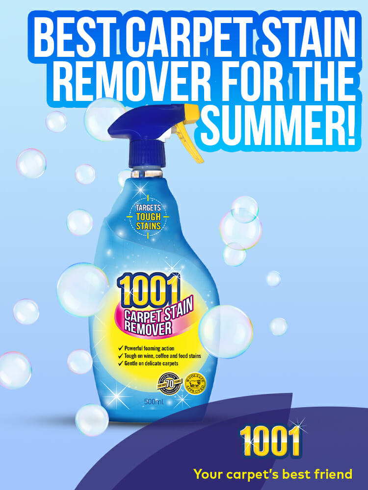 Best Carpet Stain Remover for summer Best Carpet Stain Remover for summer