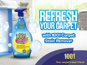 best carpet stain remover