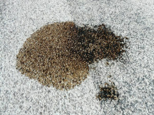 carpet stains (1)