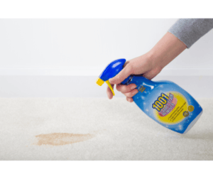 1001 Carpet Stain Remover