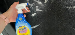 3 carpet stain remover