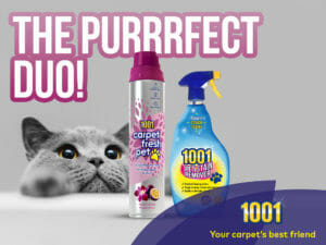Don’t let your carpet become a cat pee carpet!