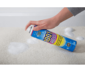 use 1001 Mousse to remove stains from carpets