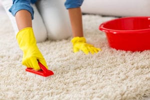 How To Get Yellow Stains Out Of Your Carpet?